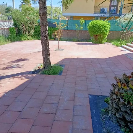 Francesco E Tanina 니콜로시