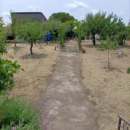 Francesco E Tanina 펜션 *