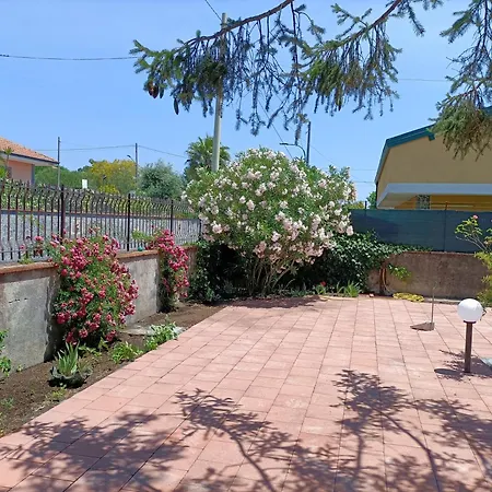 Francesco E Tanina * 니콜로시